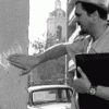 post-11921-0-83568900-1390802619_thumb.gif