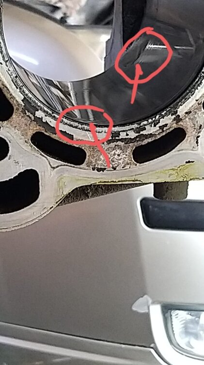 WhatsApp Image 2021-07-29 at 11.34.43.jpeg