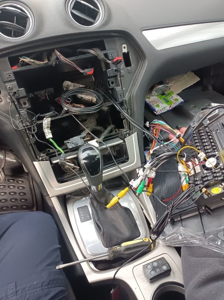 photo_2022-03-31_06-12-54 (2).jpg