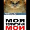 ILDARNK85